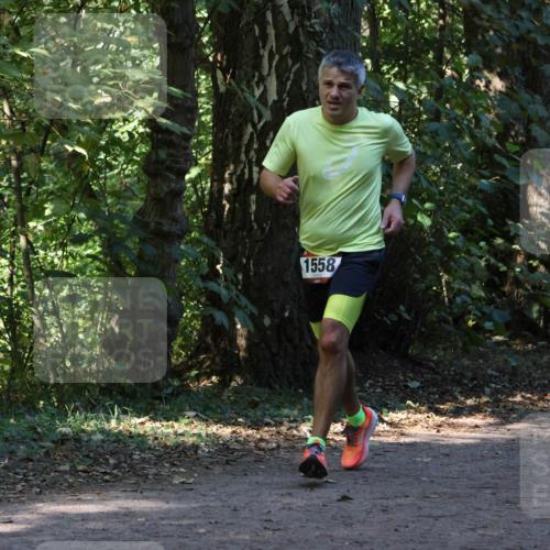 28.09.2025 - 33. Volkslauf durch das schöne Alstertal Strokosch-Dieckow http://msf.ph/oto/8969996 28.09.2025 11:40:02 Laufen 1558 meine-sportfotos.de