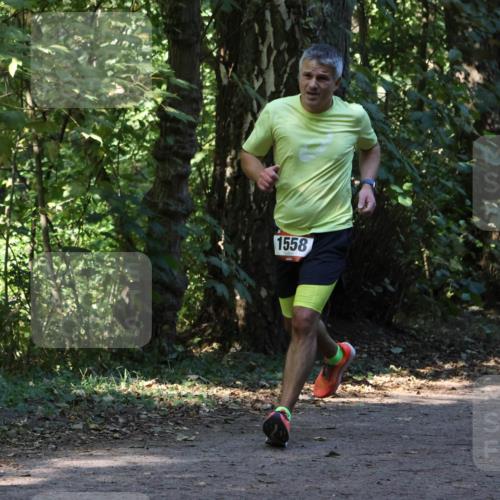 28.09.2025 - 33. Volkslauf durch das schöne Alstertal Strokosch-Dieckow http://msf.ph/oto/8969998 28.09.2025 11:40:02 Laufen 1558 meine-sportfotos.de