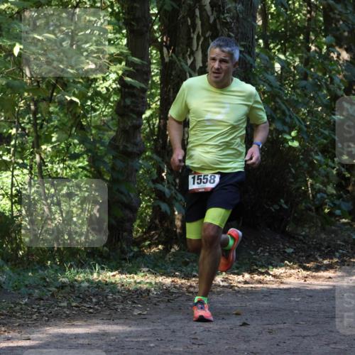 28.09.2025 - 33. Volkslauf durch das schöne Alstertal Strokosch-Dieckow http://msf.ph/oto/8969999 28.09.2025 11:40:02 Laufen 1558 meine-sportfotos.de