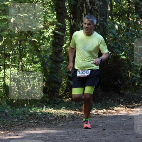 28.09.2025 - 33. Volkslauf durch das schöne Alstertal Strokosch-Dieckow http://msf.ph/oto/8970000 28.09.2025 11:40:02 Laufen 1558 meine-sportfotos.de