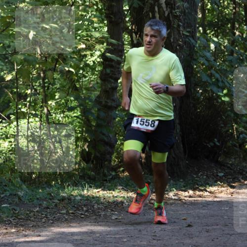 28.09.2025 - 33. Volkslauf durch das schöne Alstertal Strokosch-Dieckow http://msf.ph/oto/8970001 28.09.2025 11:40:02 Laufen 1558 meine-sportfotos.de