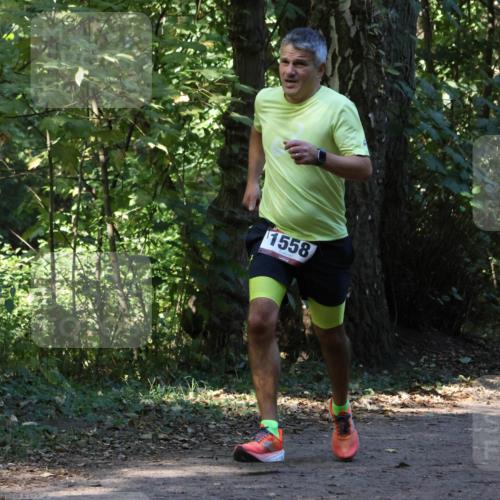 28.09.2025 - 33. Volkslauf durch das schöne Alstertal Strokosch-Dieckow http://msf.ph/oto/8970002 28.09.2025 11:40:02 Laufen 1558 meine-sportfotos.de