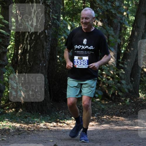 28.09.2025 - 33. Volkslauf durch das schöne Alstertal Strokosch-Dieckow http://msf.ph/oto/8970006 28.09.2025 11:40:10 Laufen 3398, 545 meine-sportfotos.de