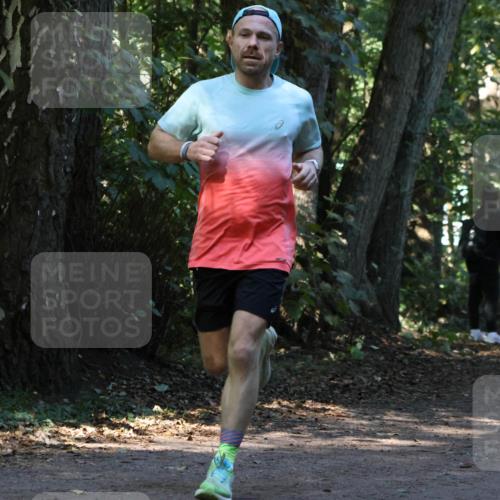 28.09.2025 - 33. Volkslauf durch das schöne Alstertal Strokosch-Dieckow http://msf.ph/oto/8970018 28.09.2025 11:40:14 Laufen  meine-sportfotos.de