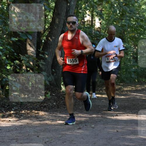 28.09.2025 - 33. Volkslauf durch das schöne Alstertal Strokosch-Dieckow http://msf.ph/oto/8970021 28.09.2025 11:40:22 Laufen 1555, 1541 meine-sportfotos.de