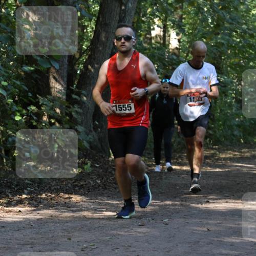 28.09.2025 - 33. Volkslauf durch das schöne Alstertal Strokosch-Dieckow http://msf.ph/oto/8970022 28.09.2025 11:40:22 Laufen 1555, 15 meine-sportfotos.de