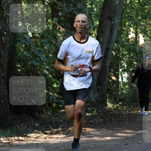 28.09.2025 - 33. Volkslauf durch das schöne Alstertal Strokosch-Dieckow http://msf.ph/oto/8970024 28.09.2025 11:40:24 Laufen  meine-sportfotos.de