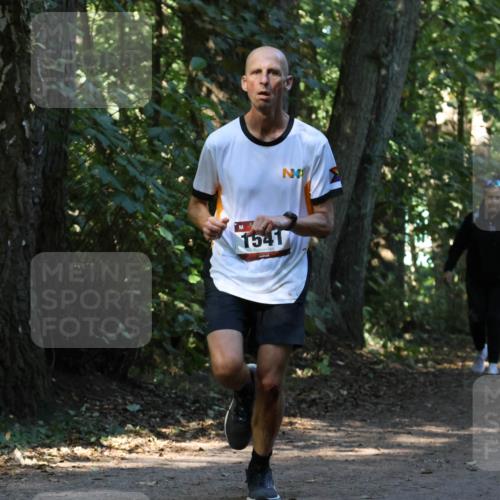 28.09.2025 - 33. Volkslauf durch das schöne Alstertal Strokosch-Dieckow http://msf.ph/oto/8970025 28.09.2025 11:40:24 Laufen 1541 meine-sportfotos.de
