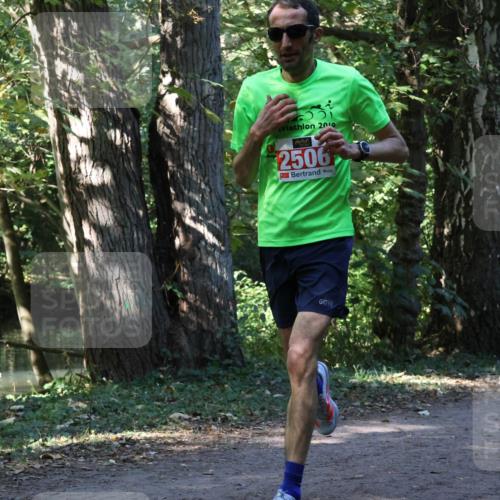 28.09.2025 - 33. Volkslauf durch das schöne Alstertal Strokosch-Dieckow http://msf.ph/oto/8970028 28.09.2025 11:40:45 Laufen 2019, 2506 meine-sportfotos.de