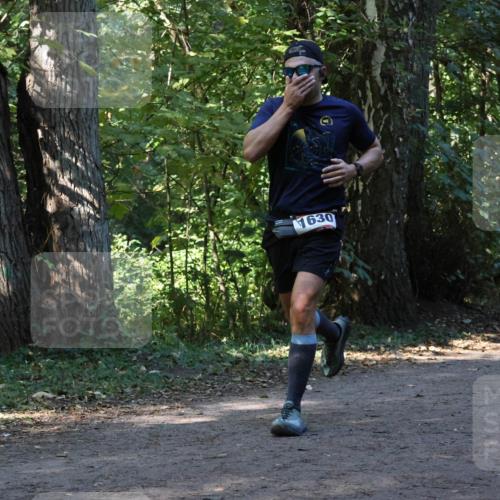 28.09.2025 - 33. Volkslauf durch das schöne Alstertal Strokosch-Dieckow http://msf.ph/oto/8970034 28.09.2025 11:40:58 Laufen 1630 meine-sportfotos.de