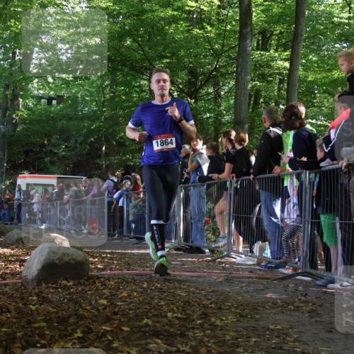 28.09.2025 - 33. Volkslauf durch das schöne Alstertal Strokosch-Dieckow http://msf.ph/oto/8970038 28.09.2025 11:50:50 Ziel 1864 meine-sportfotos.de