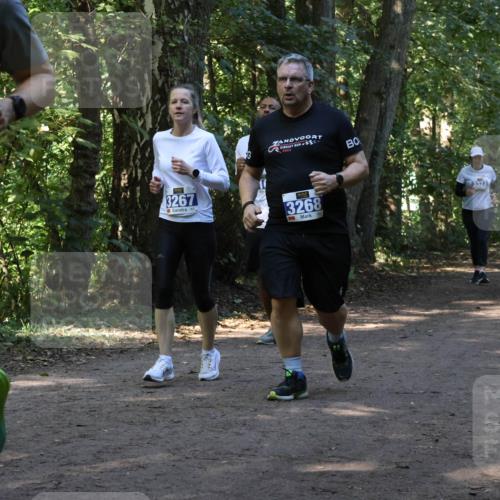 28.09.2025 - 33. Volkslauf durch das schöne Alstertal Strokosch-Dieckow http://msf.ph/oto/8970050 28.09.2025 11:41:15 Laufen 1566, 2023, 3267, 3268 meine-sportfotos.de