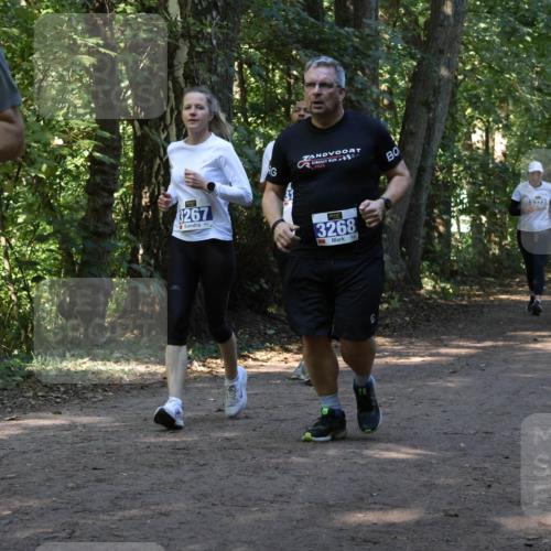 28.09.2025 - 33. Volkslauf durch das schöne Alstertal Strokosch-Dieckow http://msf.ph/oto/8970051 28.09.2025 11:41:15 Laufen 156, 3267, 2023, 3268 meine-sportfotos.de