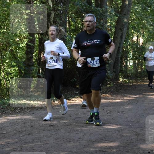 28.09.2025 - 33. Volkslauf durch das schöne Alstertal Strokosch-Dieckow http://msf.ph/oto/8970052 28.09.2025 11:41:15 Laufen 156, 3267, 2023, 3268 meine-sportfotos.de
