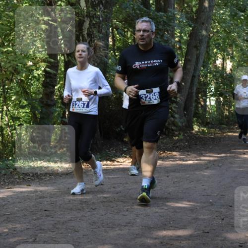 28.09.2025 - 33. Volkslauf durch das schöne Alstertal Strokosch-Dieckow http://msf.ph/oto/8970053 28.09.2025 11:41:15 Laufen 2023, 3267, 4, 3268 meine-sportfotos.de