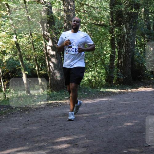 28.09.2025 - 33. Volkslauf durch das schöne Alstertal Strokosch-Dieckow http://msf.ph/oto/8970054 28.09.2025 11:41:18 Laufen 3104 meine-sportfotos.de