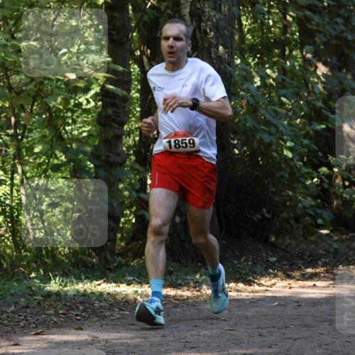 28.09.2025 - 33. Volkslauf durch das schöne Alstertal Strokosch-Dieckow http://msf.ph/oto/8970064 28.09.2025 11:41:45 Laufen 1859 meine-sportfotos.de