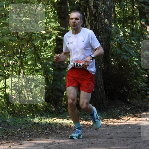 28.09.2025 - 33. Volkslauf durch das schöne Alstertal Strokosch-Dieckow http://msf.ph/oto/8970066 28.09.2025 11:41:45 Laufen 1859 meine-sportfotos.de