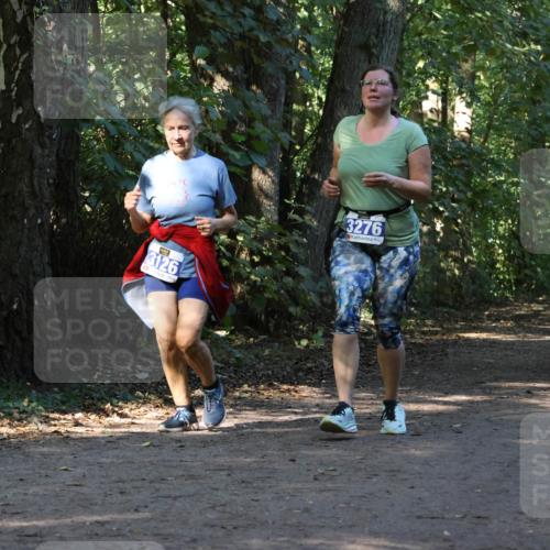 28.09.2025 - 33. Volkslauf durch das schöne Alstertal Strokosch-Dieckow http://msf.ph/oto/8970068 28.09.2025 11:41:57 Laufen 3126, 3276 meine-sportfotos.de