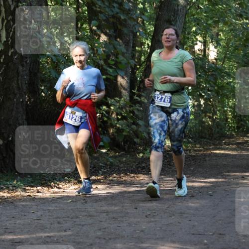 28.09.2025 - 33. Volkslauf durch das schöne Alstertal Strokosch-Dieckow http://msf.ph/oto/8970069 28.09.2025 11:41:58 Laufen 3126, 3276, 3281 meine-sportfotos.de