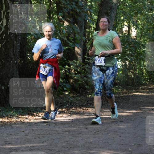 28.09.2025 - 33. Volkslauf durch das schöne Alstertal Strokosch-Dieckow http://msf.ph/oto/8970070 28.09.2025 11:41:58 Laufen 3126, 3276, 3281 meine-sportfotos.de