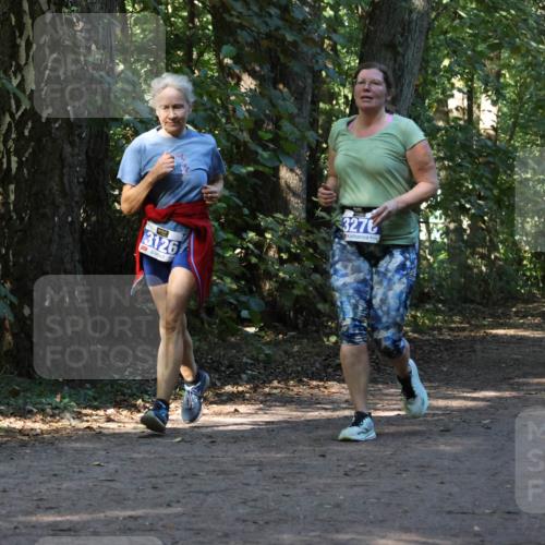 28.09.2025 - 33. Volkslauf durch das schöne Alstertal Strokosch-Dieckow http://msf.ph/oto/8970071 28.09.2025 11:41:58 Laufen 3126, 327 meine-sportfotos.de
