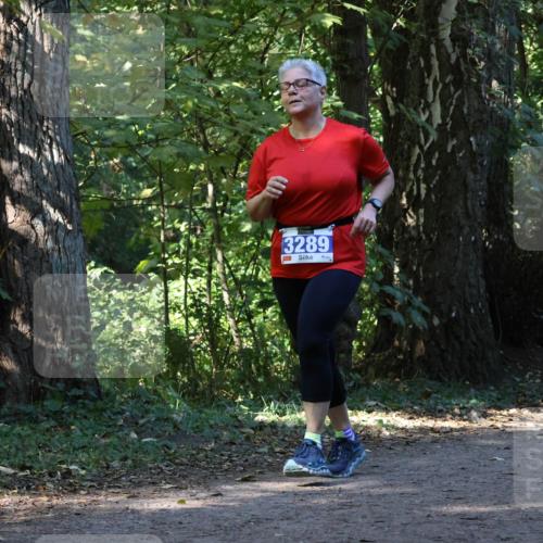 28.09.2025 - 33. Volkslauf durch das schöne Alstertal Strokosch-Dieckow http://msf.ph/oto/8970083 28.09.2025 11:42:27 Laufen 3289 meine-sportfotos.de