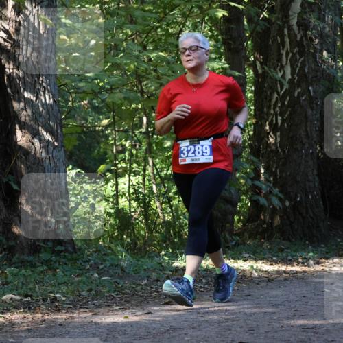 28.09.2025 - 33. Volkslauf durch das schöne Alstertal Strokosch-Dieckow http://msf.ph/oto/8970084 28.09.2025 11:42:27 Laufen 3289 meine-sportfotos.de