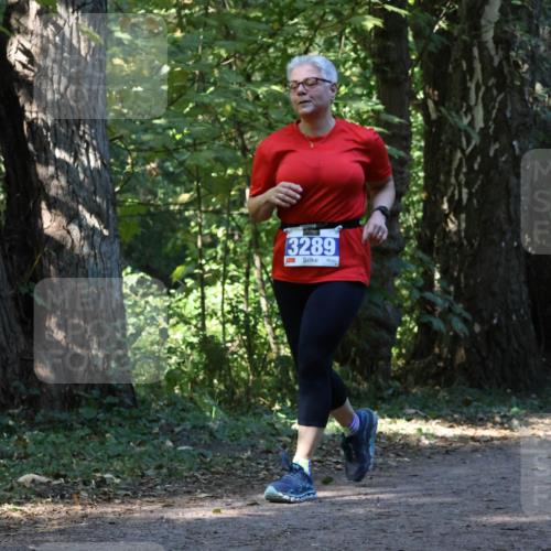 28.09.2025 - 33. Volkslauf durch das schöne Alstertal Strokosch-Dieckow http://msf.ph/oto/8970085 28.09.2025 11:42:27 Laufen 3289 meine-sportfotos.de