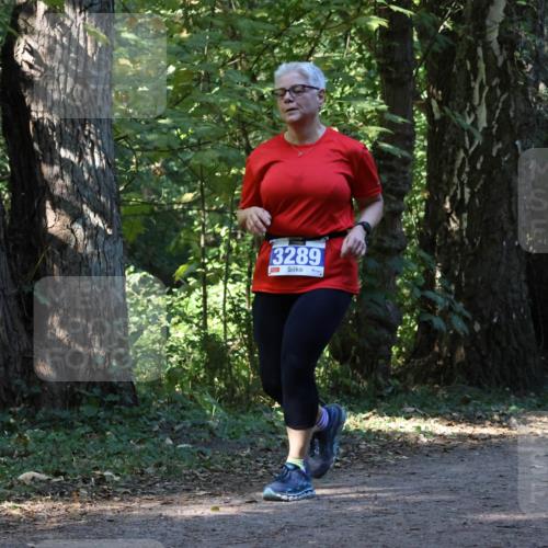 28.09.2025 - 33. Volkslauf durch das schöne Alstertal Strokosch-Dieckow http://msf.ph/oto/8970086 28.09.2025 11:42:27 Laufen 3289 meine-sportfotos.de