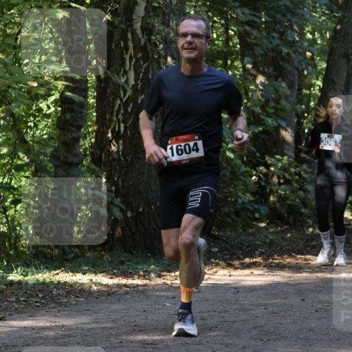 28.09.2025 - 33. Volkslauf durch das schöne Alstertal Strokosch-Dieckow http://msf.ph/oto/8970088 28.09.2025 11:42:28 Laufen 1604, 3082 meine-sportfotos.de