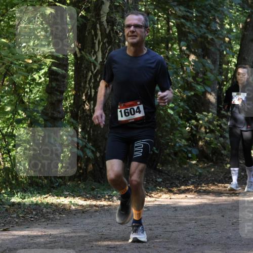 28.09.2025 - 33. Volkslauf durch das schöne Alstertal Strokosch-Dieckow http://msf.ph/oto/8970090 28.09.2025 11:42:28 Laufen 1604 meine-sportfotos.de