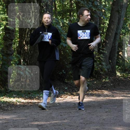 28.09.2025 - 33. Volkslauf durch das schöne Alstertal Strokosch-Dieckow http://msf.ph/oto/8970092 28.09.2025 11:42:30 Laufen 087, 3040, 1577 meine-sportfotos.de