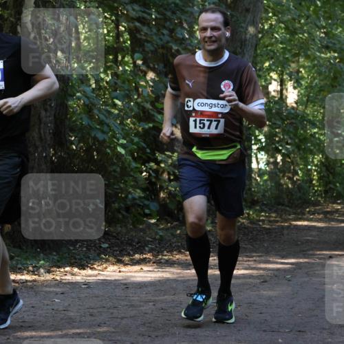 28.09.2025 - 33. Volkslauf durch das schöne Alstertal Strokosch-Dieckow http://msf.ph/oto/8970095 28.09.2025 11:42:32 Laufen 3040, 1577 meine-sportfotos.de