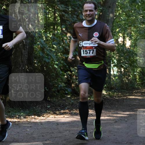 28.09.2025 - 33. Volkslauf durch das schöne Alstertal Strokosch-Dieckow http://msf.ph/oto/8970096 28.09.2025 11:42:32 Laufen 3040, 1577 meine-sportfotos.de