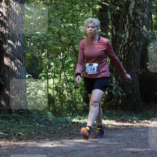 28.09.2025 - 33. Volkslauf durch das schöne Alstertal Strokosch-Dieckow http://msf.ph/oto/8970109 28.09.2025 11:42:56 Laufen 3073 meine-sportfotos.de
