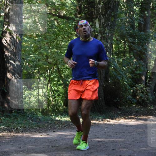 28.09.2025 - 33. Volkslauf durch das schöne Alstertal Strokosch-Dieckow http://msf.ph/oto/8970113 28.09.2025 11:42:59 Laufen  meine-sportfotos.de