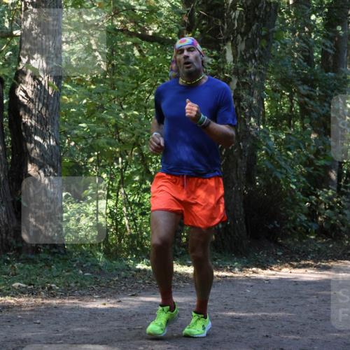 28.09.2025 - 33. Volkslauf durch das schöne Alstertal Strokosch-Dieckow http://msf.ph/oto/8970114 28.09.2025 11:43:00 Laufen  meine-sportfotos.de