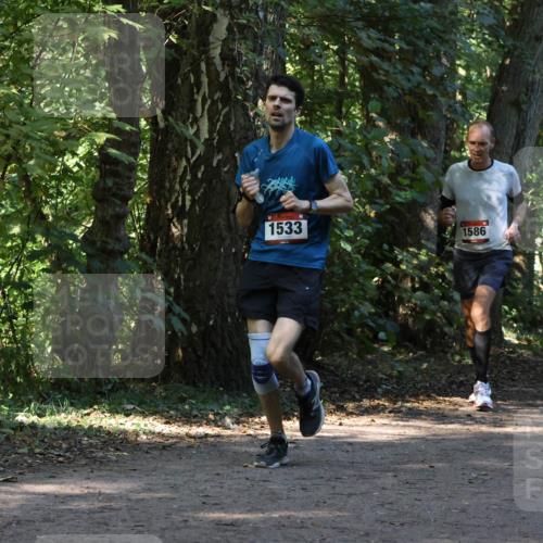 28.09.2025 - 33. Volkslauf durch das schöne Alstertal Strokosch-Dieckow http://msf.ph/oto/8970115 28.09.2025 11:43:06 Laufen 1533, 1586, 2408 meine-sportfotos.de