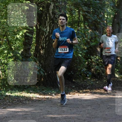 28.09.2025 - 33. Volkslauf durch das schöne Alstertal Strokosch-Dieckow http://msf.ph/oto/8970116 28.09.2025 11:43:06 Laufen 1533, 1586, 240 meine-sportfotos.de