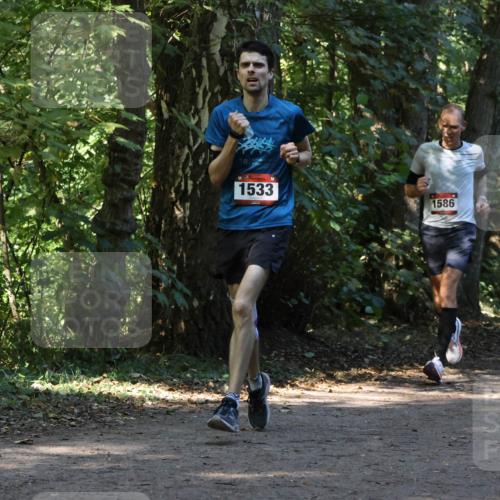28.09.2025 - 33. Volkslauf durch das schöne Alstertal Strokosch-Dieckow http://msf.ph/oto/8970117 28.09.2025 11:43:06 Laufen 1533, 1586 meine-sportfotos.de