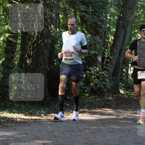 28.09.2025 - 33. Volkslauf durch das schöne Alstertal Strokosch-Dieckow http://msf.ph/oto/8970119 28.09.2025 11:43:07 Laufen 3, 1586, 2408 meine-sportfotos.de