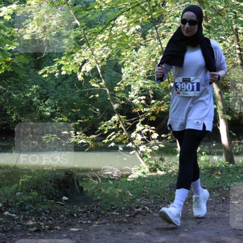 28.09.2025 - 33. Volkslauf durch das schöne Alstertal Strokosch-Dieckow http://msf.ph/oto/8970123 28.09.2025 11:43:36 Laufen 3901 meine-sportfotos.de