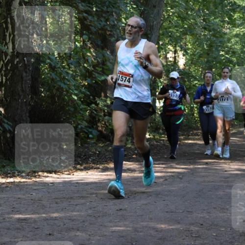 28.09.2025 - 33. Volkslauf durch das schöne Alstertal Strokosch-Dieckow http://msf.ph/oto/8970137 28.09.2025 11:43:50 Laufen 1574, 3153, 3172, 3163, 3162 meine-sportfotos.de