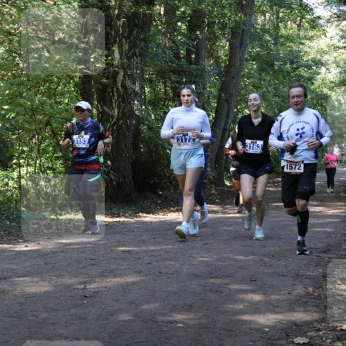 28.09.2025 - 33. Volkslauf durch das schöne Alstertal Strokosch-Dieckow http://msf.ph/oto/8970138 28.09.2025 11:43:54 Laufen 3172, 3153, 3163, 1572 meine-sportfotos.de