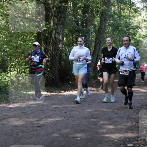 28.09.2025 - 33. Volkslauf durch das schöne Alstertal Strokosch-Dieckow http://msf.ph/oto/8970139 28.09.2025 11:43:54 Laufen 3153, 3172, 3163, 1572 meine-sportfotos.de