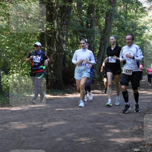 28.09.2025 - 33. Volkslauf durch das schöne Alstertal Strokosch-Dieckow http://msf.ph/oto/8970140 28.09.2025 11:43:54 Laufen 3153, 172, 3165, 1572 meine-sportfotos.de