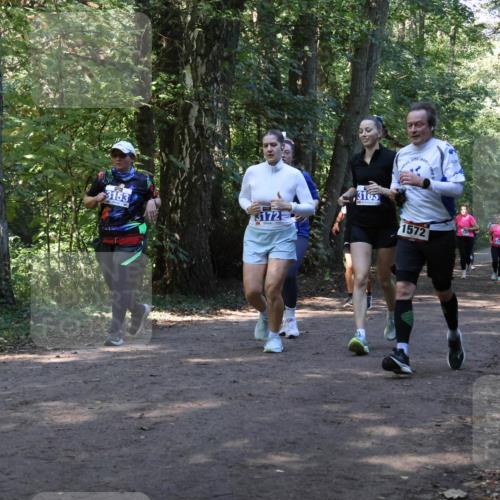 28.09.2025 - 33. Volkslauf durch das schöne Alstertal Strokosch-Dieckow http://msf.ph/oto/8970141 28.09.2025 11:43:54 Laufen 3153, 3172, 3165, 1572 meine-sportfotos.de