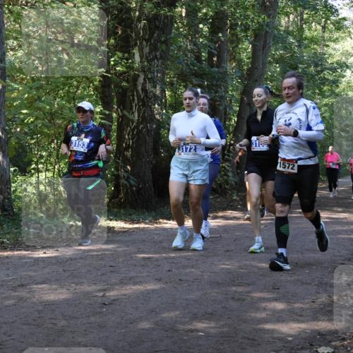 28.09.2025 - 33. Volkslauf durch das schöne Alstertal Strokosch-Dieckow http://msf.ph/oto/8970142 28.09.2025 11:43:54 Laufen 3153, 3172, 31, 1572 meine-sportfotos.de