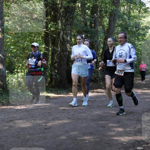 28.09.2025 - 33. Volkslauf durch das schöne Alstertal Strokosch-Dieckow http://msf.ph/oto/8970143 28.09.2025 11:43:54 Laufen 3172, 3153, 316, 1572 meine-sportfotos.de